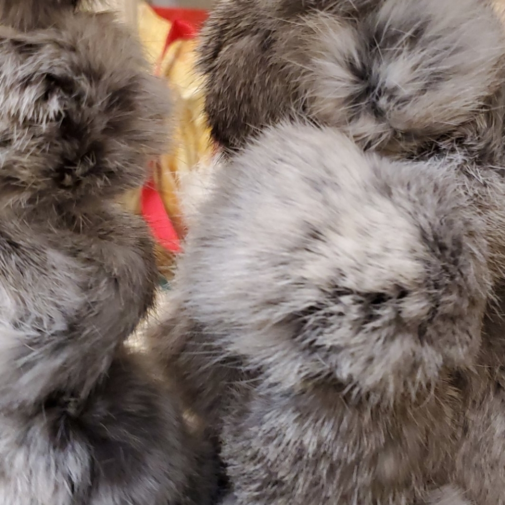 Nwt Rich gray  prestige genuine fur balls